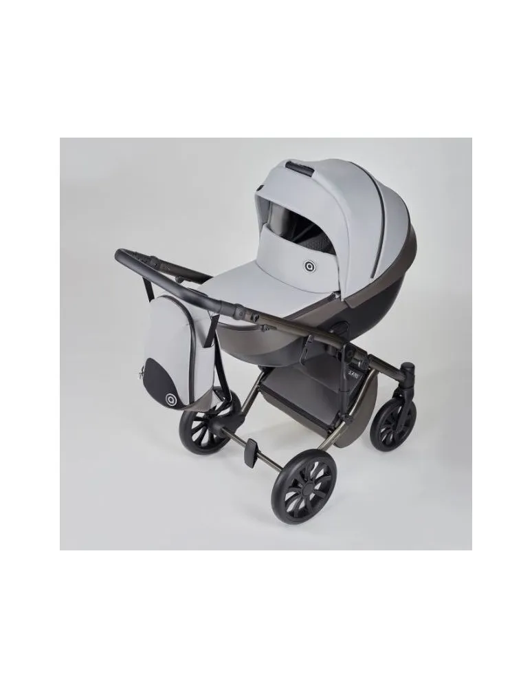 CARRO 2/1 M/TYPE MIRAGE ANEX