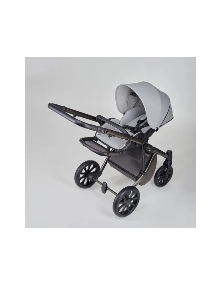CARRO 2/1 M/TYPE MIRAGE ANEX