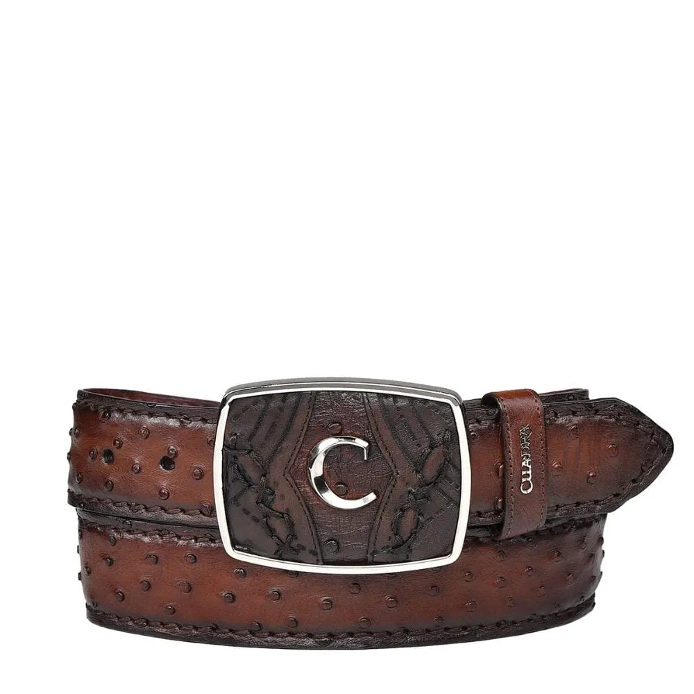 Cinto Cuadra BC353 Moroni Castano