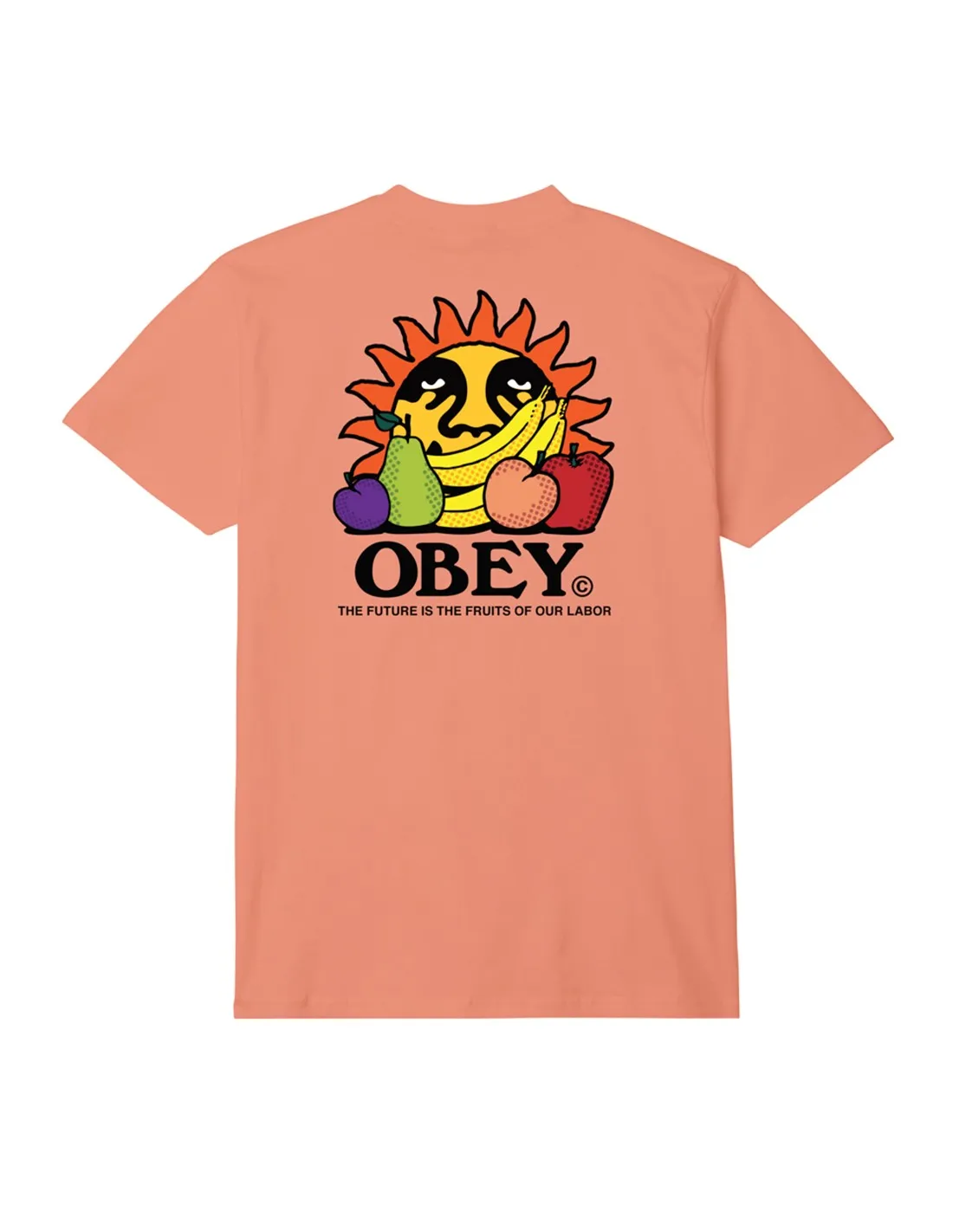 OBEY THE FUTURE IN THE FRUITS OF CITRUS