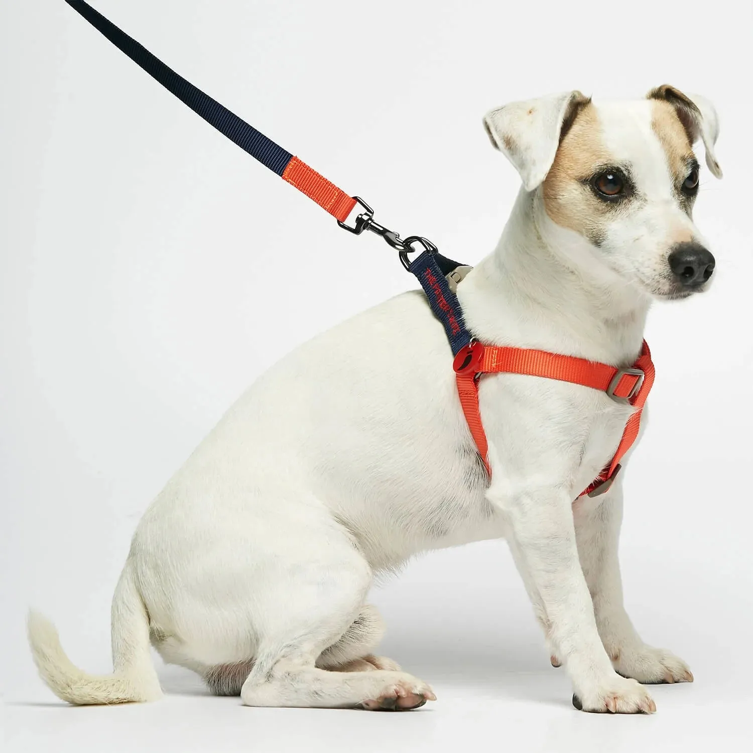 Sonia Navy & Orange Dog Harness